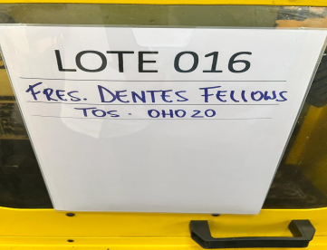 Foto: LOTE KONE 016 - FRESADORA DENTES FELLOWS - TOS - OHO20