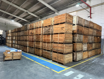 CAIXAS DE MADEIRA PARA VENDA